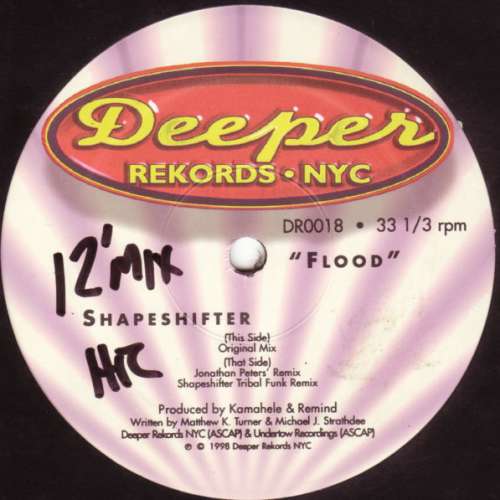 Cover Shapeshifter (2) - Flood (12) Schallplatten Ankauf