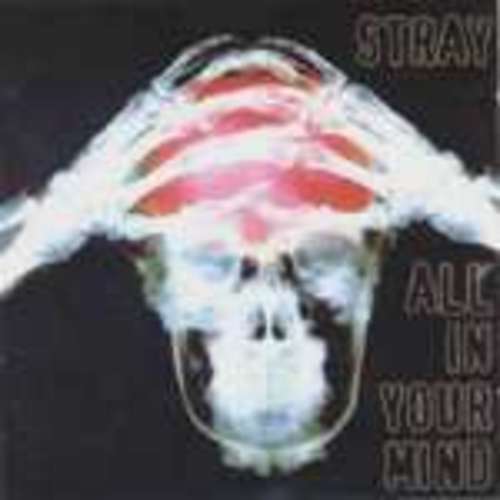Cover Stray (6) - All In Your Mind (2xCD, Comp) Schallplatten Ankauf