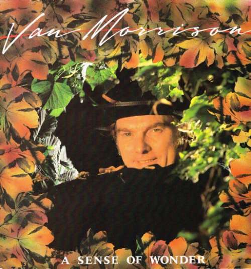 Cover Van Morrison - A Sense Of Wonder (LP, Album, RE) Schallplatten Ankauf