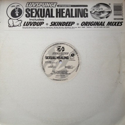 Cover Luvspunge - Sexual Healing (12) Schallplatten Ankauf