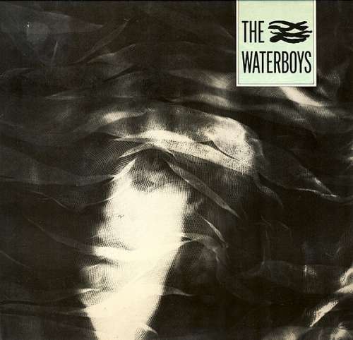 Cover The Waterboys - The Waterboys (LP, Album) Schallplatten Ankauf
