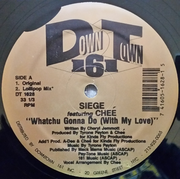 Bild Siege (5) Featuring Cheé - Whatchu Gonna Do (With My Love) (12) Schallplatten Ankauf