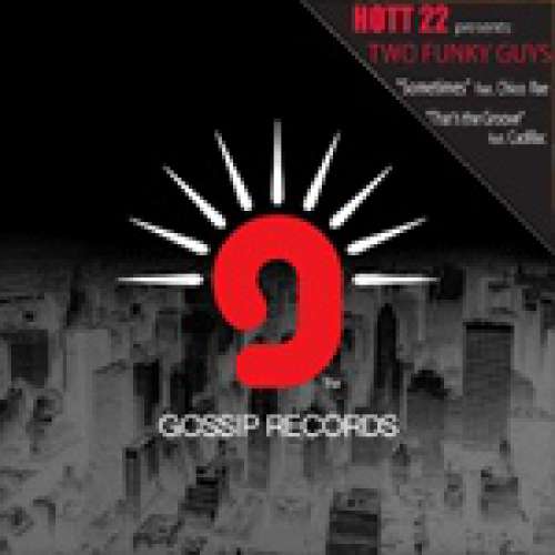 Cover Hott 22 - Two Funky Guys (12) Schallplatten Ankauf