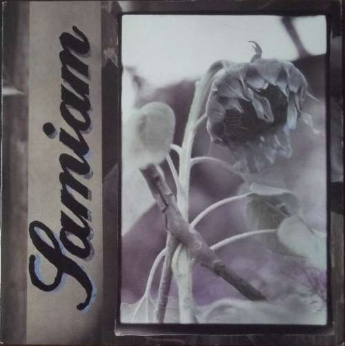 Cover Samiam - Samiam (LP, Album, Pur) Schallplatten Ankauf