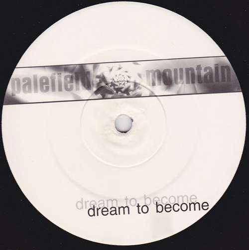 Cover Palefield Mountain - Dream To Become (12) Schallplatten Ankauf