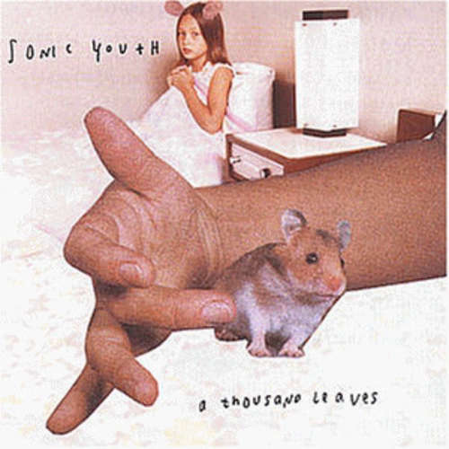 Cover Sonic Youth - A Thousand Leaves (2xLP, Album, RE, RP) Schallplatten Ankauf