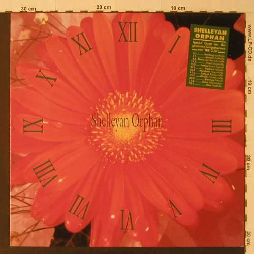 Bild Shelleyan Orphan - Century Flower (LP, Album) Schallplatten Ankauf