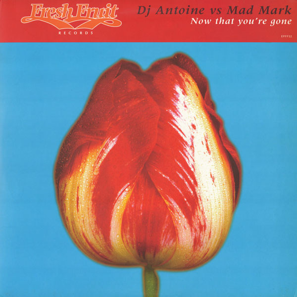 Cover DJ Antoine vs. Mad Mark - Now That You're Gone (12) Schallplatten Ankauf