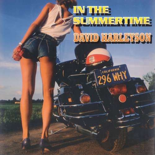 Cover David Harleyson - In The Summertime (12) Schallplatten Ankauf