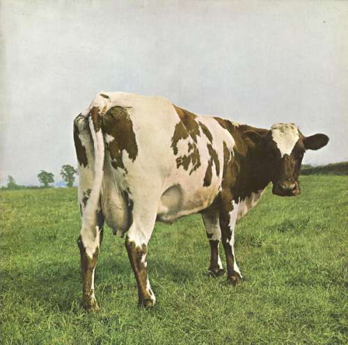 Cover Pink Floyd - Atom Heart Mother (LP, Album, RE) Schallplatten Ankauf