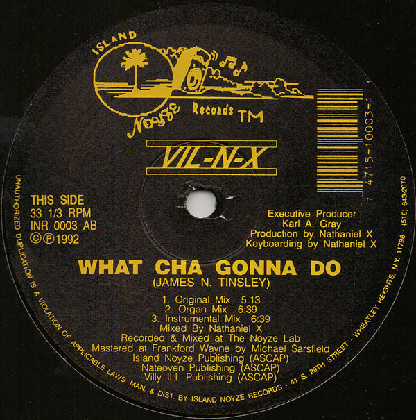 Cover Vil-N-X - What Cha Gonna Do (12) Schallplatten Ankauf