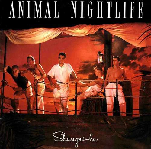 Cover Animal Nightlife - Shangri-La (LP) Schallplatten Ankauf