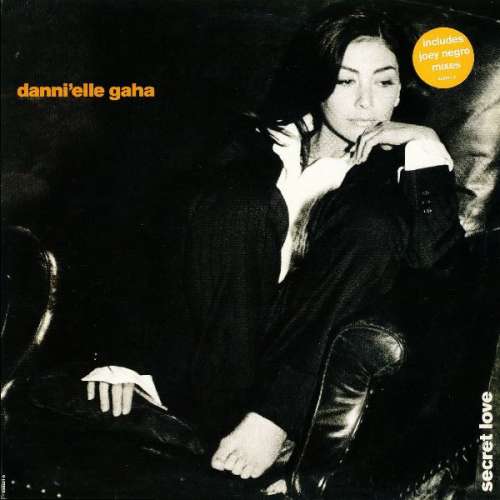 Cover Danni'elle Gaha - Secret Love (12) Schallplatten Ankauf