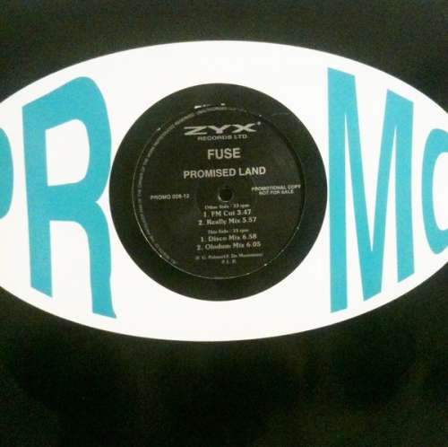 Bild F.U.S.E. (2) - Promised Land (12, Promo) Schallplatten Ankauf