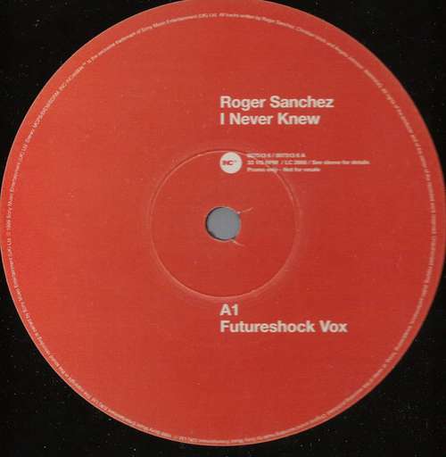 Bild Roger Sanchez - I Never Knew (12, Promo) Schallplatten Ankauf