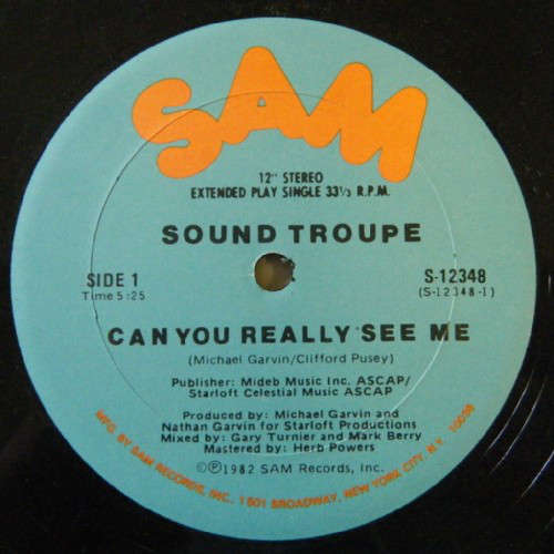 Cover Sound Troupe - Can You Really See Me (12, Single) Schallplatten Ankauf