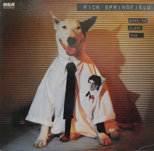 Cover Rick Springfield - Working Class Dog (LP, Album, Ind) Schallplatten Ankauf