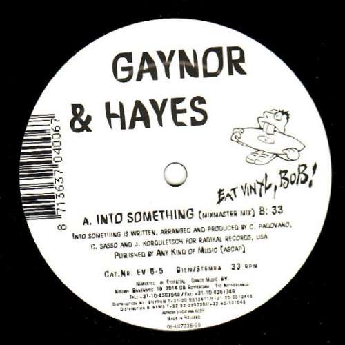 Cover Gaynor & Hayes - Into Something (12) Schallplatten Ankauf