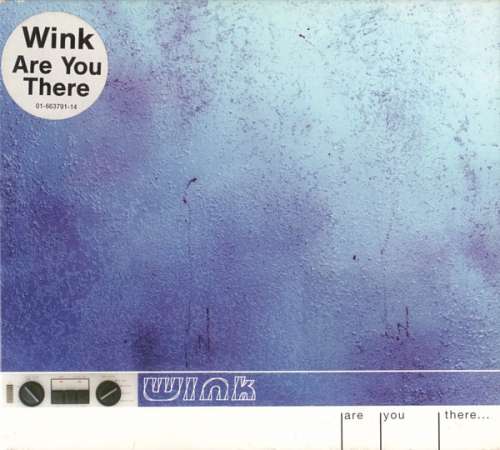Cover Wink* - Are You There... (CD, Maxi, Dig) Schallplatten Ankauf