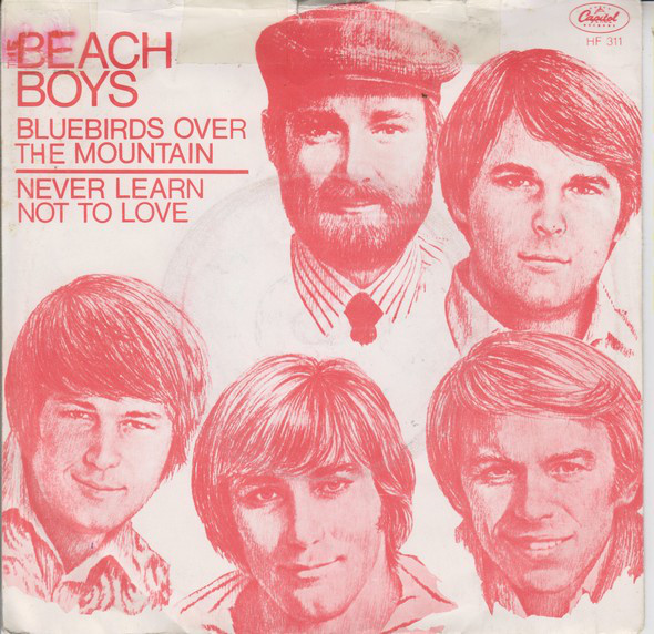 Cover The Beach Boys - Bluebirds Over The Mountain (7, Single) Schallplatten Ankauf