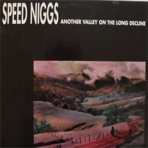 Cover Speed Niggs - Another Valley On The Long Decline (LP, Album) Schallplatten Ankauf
