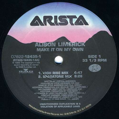 Cover Alison Limerick - Make It On My Own (12) Schallplatten Ankauf