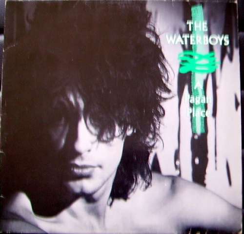 Cover The Waterboys - A Pagan Place (LP, Album) Schallplatten Ankauf