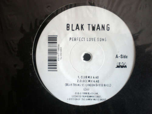 Cover Blak Twang - Perfect Love Song (12) Schallplatten Ankauf