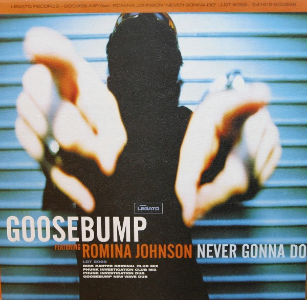 Cover Goosebump Featuring Romina Johnson - Never Gonna Do (12) Schallplatten Ankauf