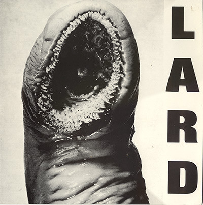 Cover Lard - The Power Of Lard EP (12, EP) Schallplatten Ankauf