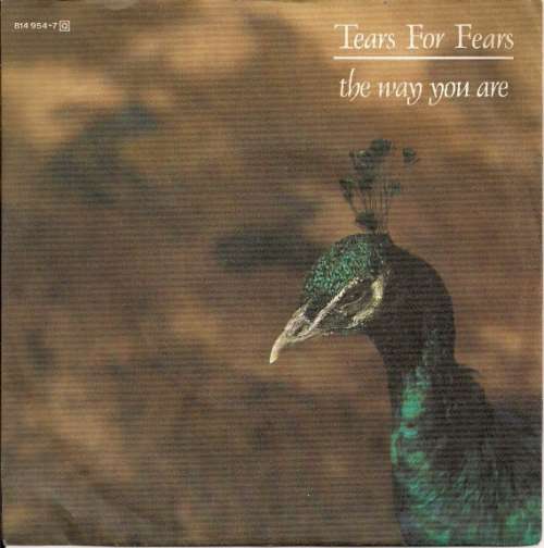 Cover Tears For Fears - The Way You Are (7, Single) Schallplatten Ankauf