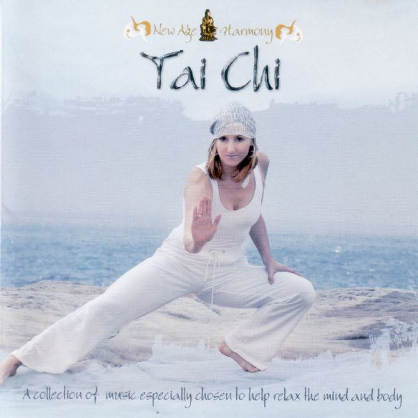 Cover Pierre Vangelis - Tai Chi (CD, Album) Schallplatten Ankauf