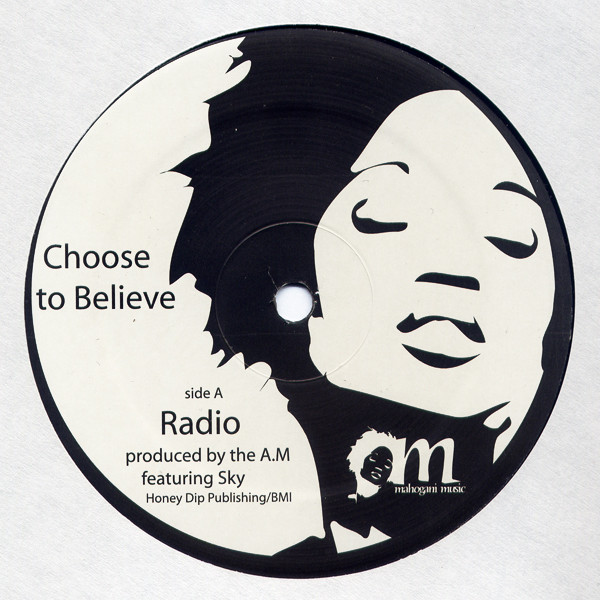 Cover The A.M* - Choose To Believe (12) Schallplatten Ankauf