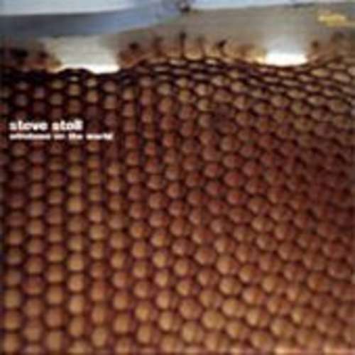 Cover Steve Stoll - Windows On The World (2xLP, Album) Schallplatten Ankauf