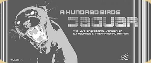Cover A Hundred Birds - Jaguar (12) Schallplatten Ankauf