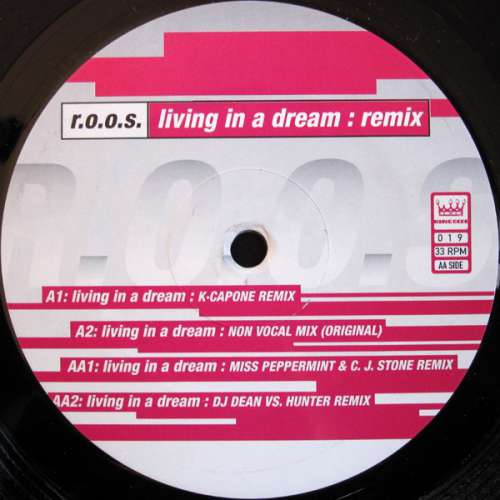 Cover R.O.O.S. - Living In A Dream (Remix) (12) Schallplatten Ankauf