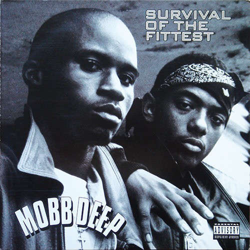 Cover Mobb Deep - Survival Of The Fittest (12) Schallplatten Ankauf