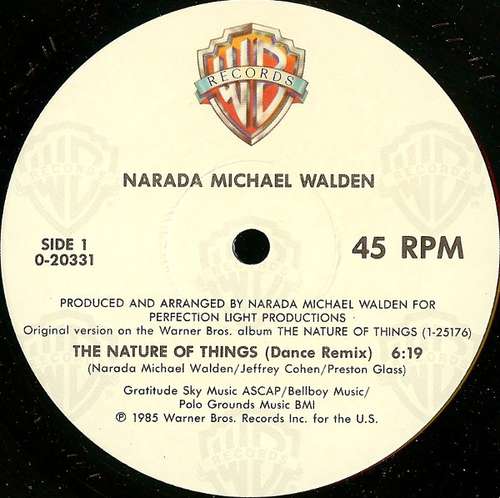 Cover Narada Michael Walden - The Nature Of Things (12) Schallplatten Ankauf