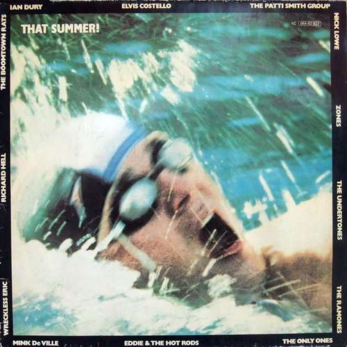 Cover That Summer! Schallplatten Ankauf