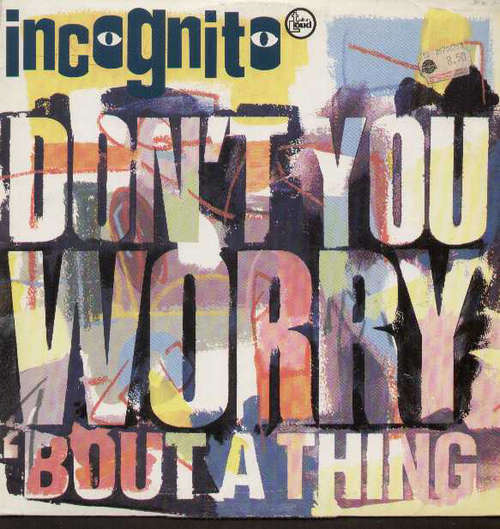 Cover Incognito - Don't You Worry 'Bout A Thing (12) Schallplatten Ankauf