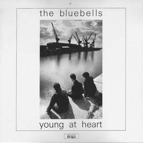 Cover The Bluebells - Young At Heart (12, Maxi) Schallplatten Ankauf