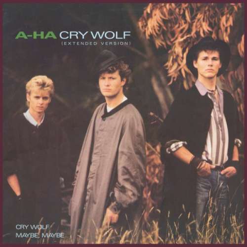 Cover a-ha - Cry Wolf (Extended Version) (12, Single) Schallplatten Ankauf
