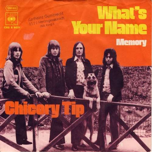 Cover Chicory Tip - What's Your Name (7, Single) Schallplatten Ankauf