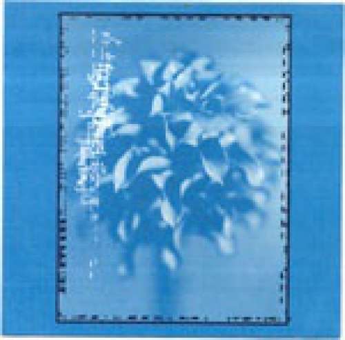 Cover Placid Angles - The Cry (2xLP, Album) Schallplatten Ankauf