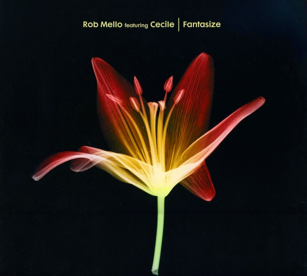 Cover Rob Mello Featuring Cecile* - Fantasize (12) Schallplatten Ankauf