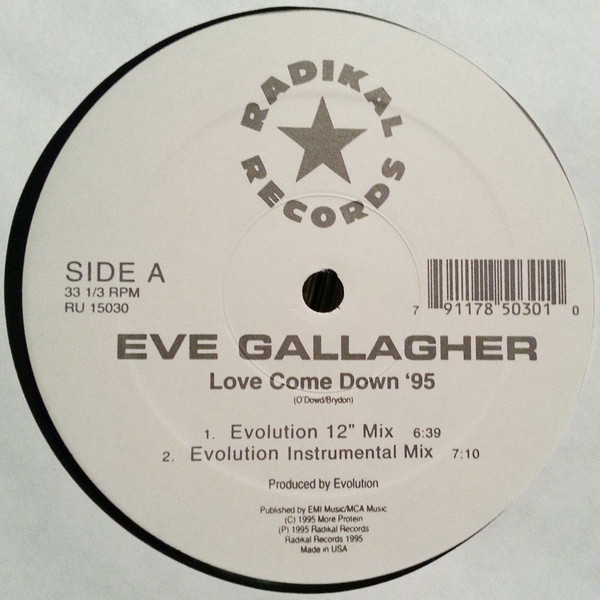 Bild Eve Gallagher - Love Come Down '95 (12) Schallplatten Ankauf