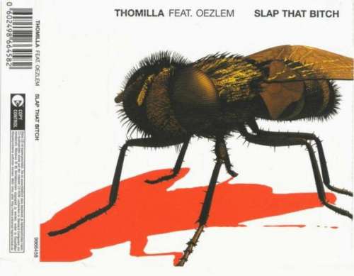 Cover Thomilla Feat. Oezlem - Slap That Bitch (12) Schallplatten Ankauf