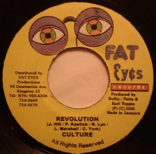 Cover Revolution Schallplatten Ankauf