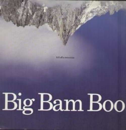 Bild Big Bam Boo - Fell Off A Mountain (12) Schallplatten Ankauf
