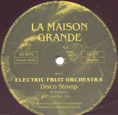 Cover Electric Fruit Orchestra - Disco Stomp (12) Schallplatten Ankauf